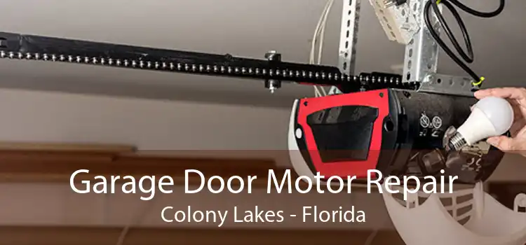 Garage Door Motor Repair Colony Lakes - Florida