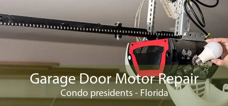 Garage Door Motor Repair Condo presidents - Florida