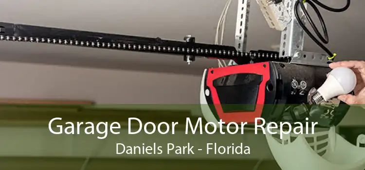 Garage Door Motor Repair Daniels Park - Florida