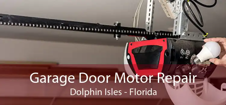 Garage Door Motor Repair Dolphin Isles - Florida