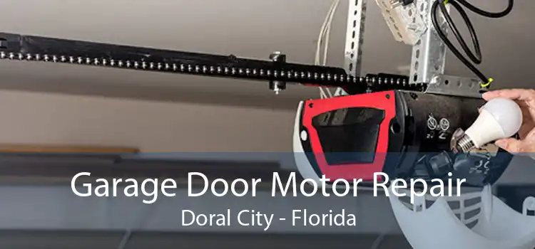 Garage Door Motor Repair Doral City - Florida