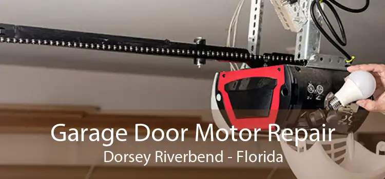 Garage Door Motor Repair Dorsey Riverbend - Florida