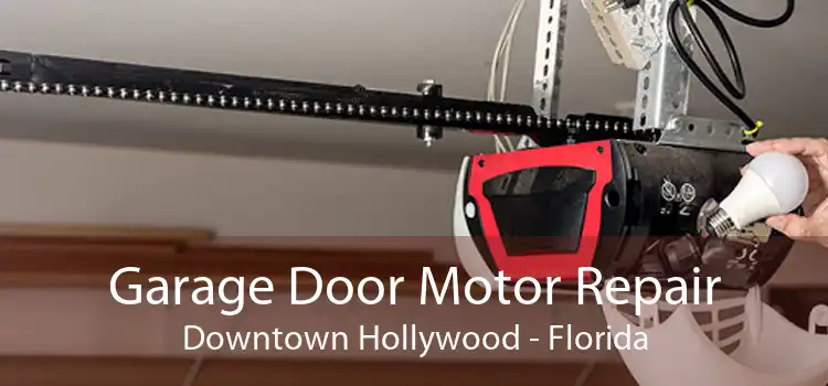 Garage Door Motor Repair Downtown Hollywood - Florida