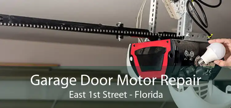 Garage Door Motor Repair East 1st Street - Florida