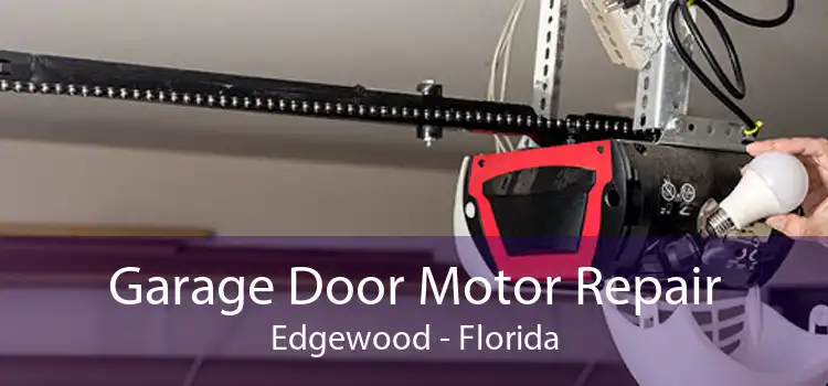 Garage Door Motor Repair Edgewood - Florida