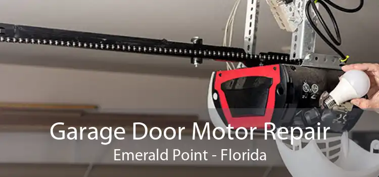 Garage Door Motor Repair Emerald Point - Florida