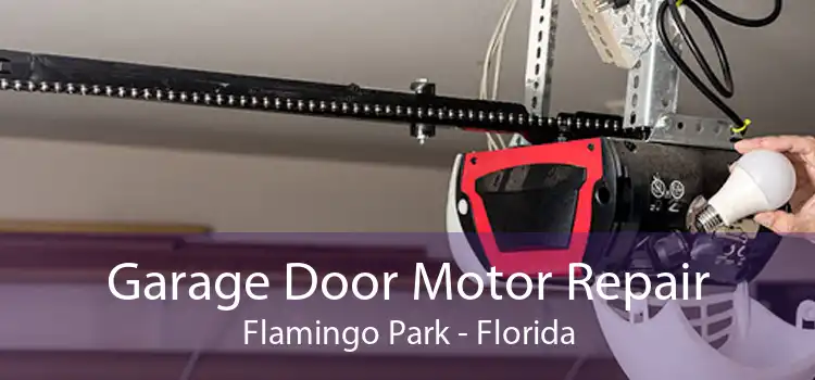 Garage Door Motor Repair Flamingo Park - Florida