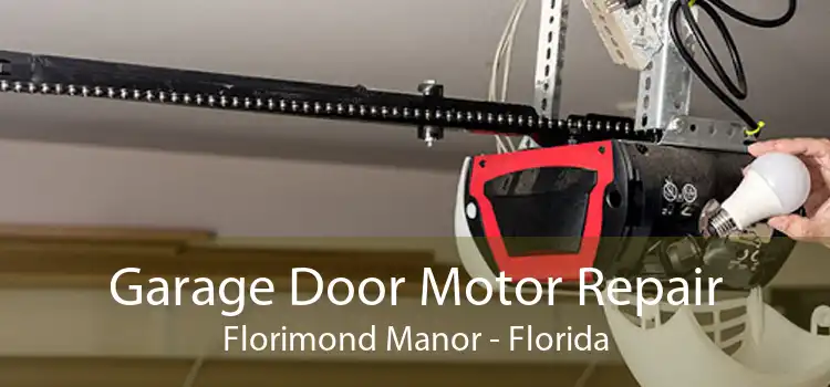 Garage Door Motor Repair Florimond Manor - Florida