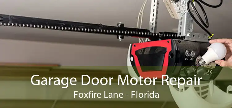 Garage Door Motor Repair Foxfire Lane - Florida