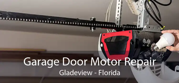 Garage Door Motor Repair Gladeview - Florida