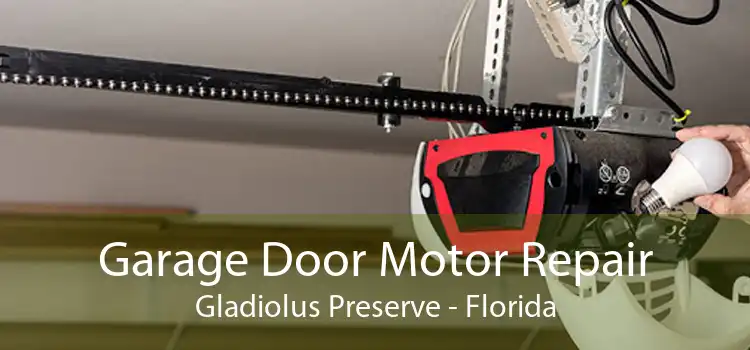 Garage Door Motor Repair Gladiolus Preserve - Florida