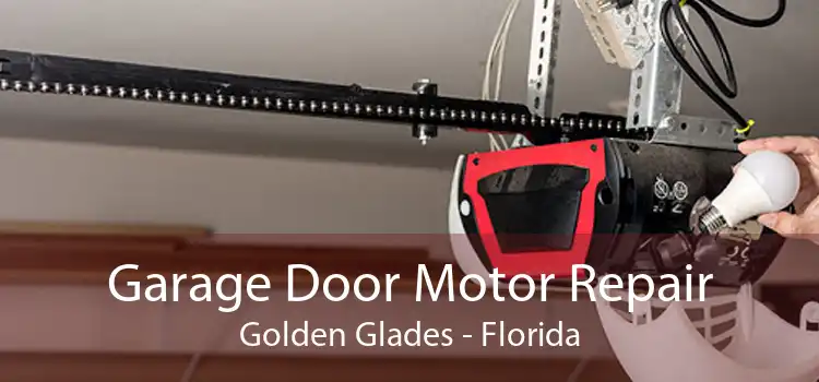 Garage Door Motor Repair Golden Glades - Florida