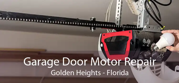 Garage Door Motor Repair Golden Heights - Florida