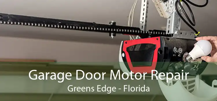 Garage Door Motor Repair Greens Edge - Florida