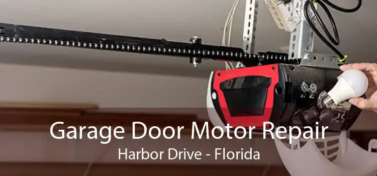 Garage Door Motor Repair Harbor Drive - Florida