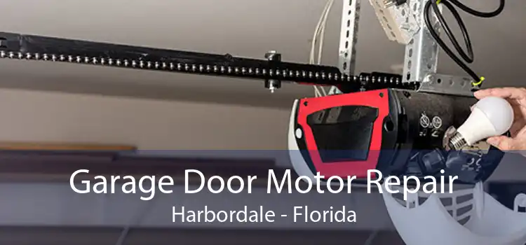 Garage Door Motor Repair Harbordale - Florida