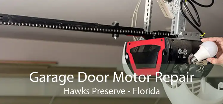 Garage Door Motor Repair Hawks Preserve - Florida