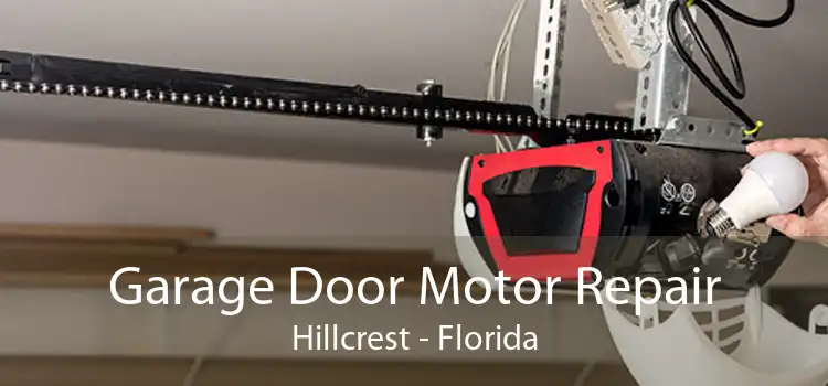 Garage Door Motor Repair Hillcrest - Florida