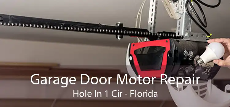 Garage Door Motor Repair Hole In 1 Cir - Florida