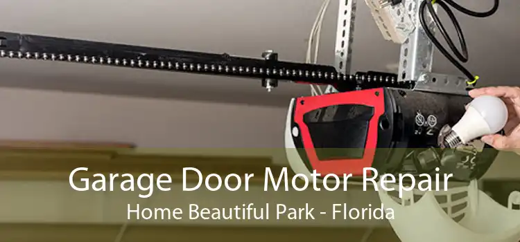 Garage Door Motor Repair Home Beautiful Park - Florida