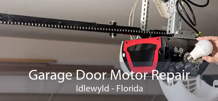 Garage Door Motor Repair Idlewyld - Florida