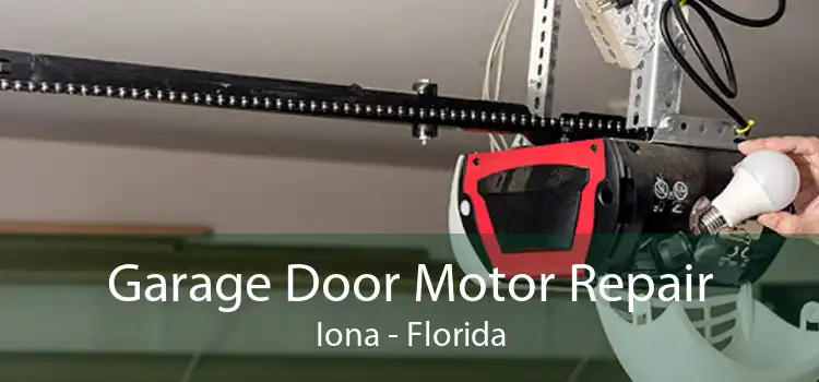 Garage Door Motor Repair Iona - Florida