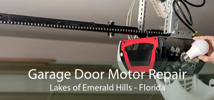 Garage Door Motor Repair Lakes of Emerald Hills - Florida