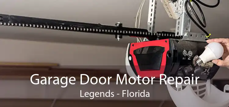 Garage Door Motor Repair Legends - Florida