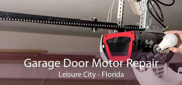 Garage Door Motor Repair Leisure City - Florida