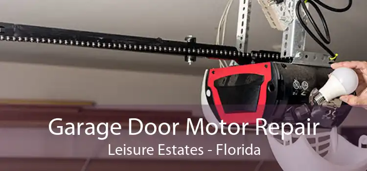 Garage Door Motor Repair Leisure Estates - Florida