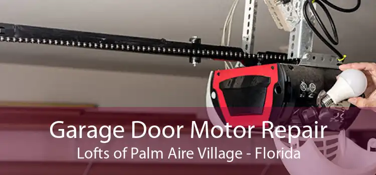 Garage Door Motor Repair Lofts of Palm Aire Village - Florida