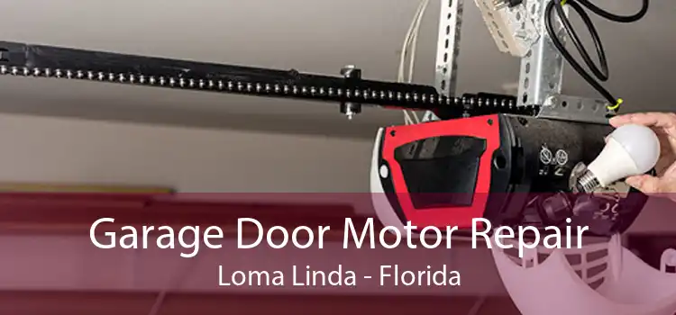 Garage Door Motor Repair Loma Linda - Florida