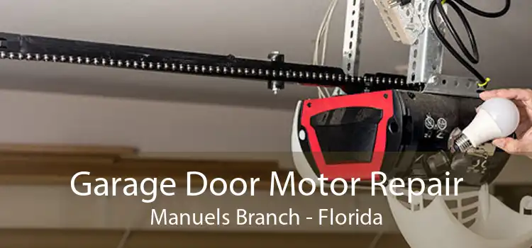 Garage Door Motor Repair Manuels Branch - Florida