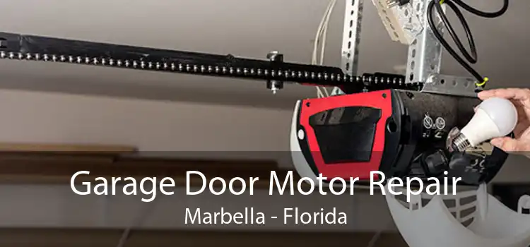 Garage Door Motor Repair Marbella - Florida