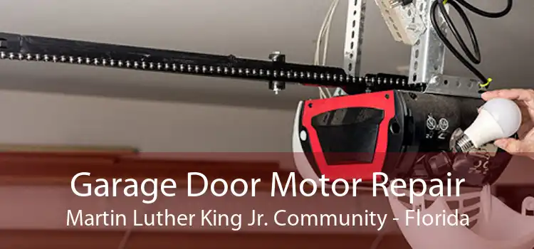 Garage Door Motor Repair Martin Luther King Jr. Community - Florida