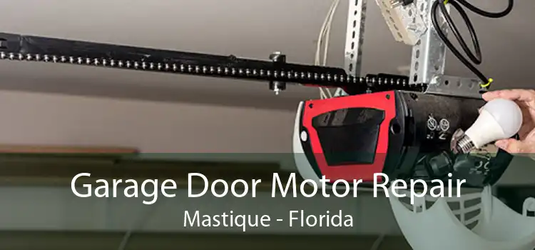 Garage Door Motor Repair Mastique - Florida