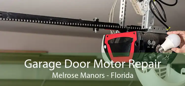 Garage Door Motor Repair Melrose Manors - Florida