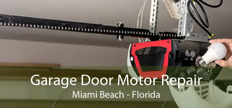 Garage Door Motor Repair Miami Beach - Florida