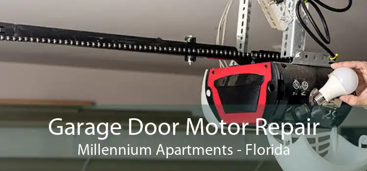 Garage Door Motor Repair Millennium Apartments - Florida