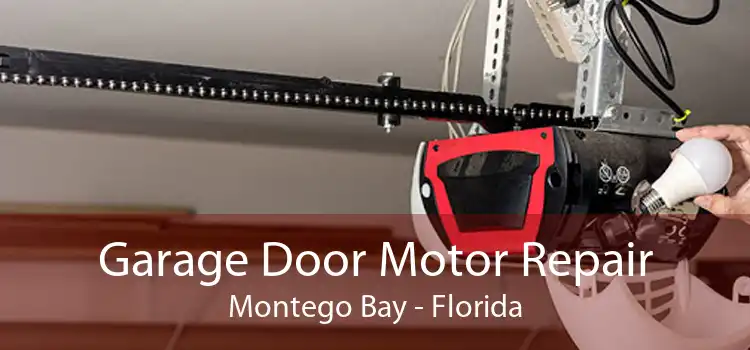 Garage Door Motor Repair Montego Bay - Florida