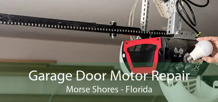 Garage Door Motor Repair Morse Shores - Florida