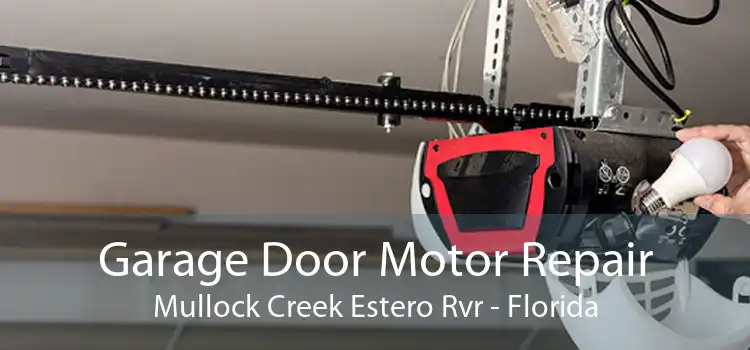 Garage Door Motor Repair Mullock Creek Estero Rvr - Florida