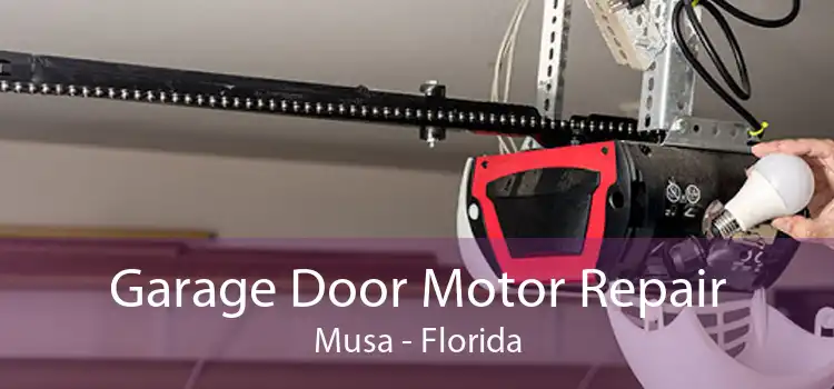 Garage Door Motor Repair Musa - Florida