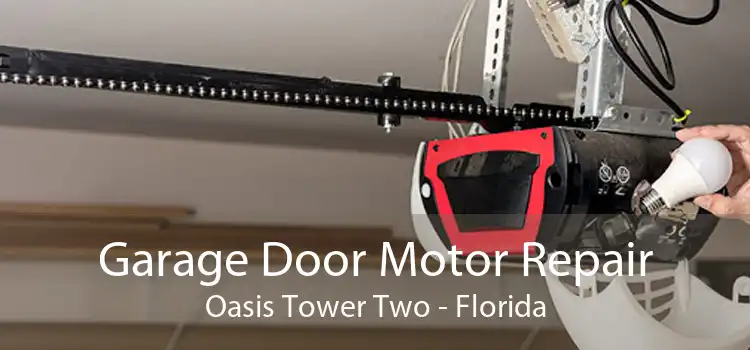 Garage Door Motor Repair Oasis Tower Two - Florida