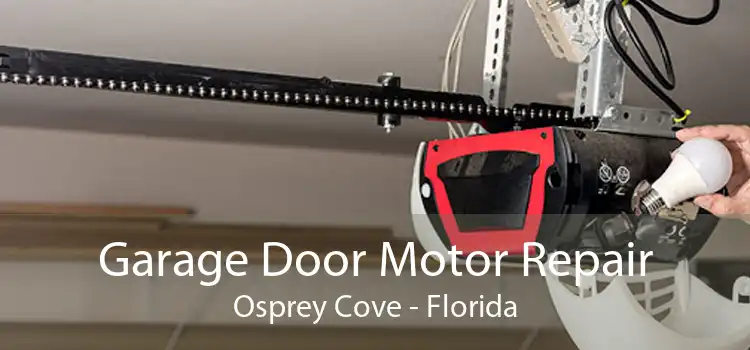 Garage Door Motor Repair Osprey Cove - Florida