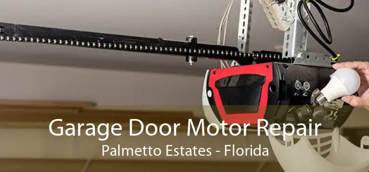 Garage Door Motor Repair Palmetto Estates - Florida