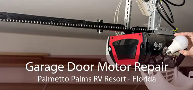 Garage Door Motor Repair Palmetto Palms RV Resort - Florida