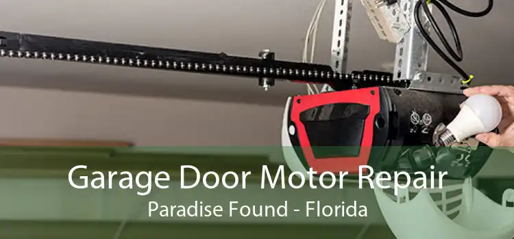 Garage Door Motor Repair Paradise Found - Florida