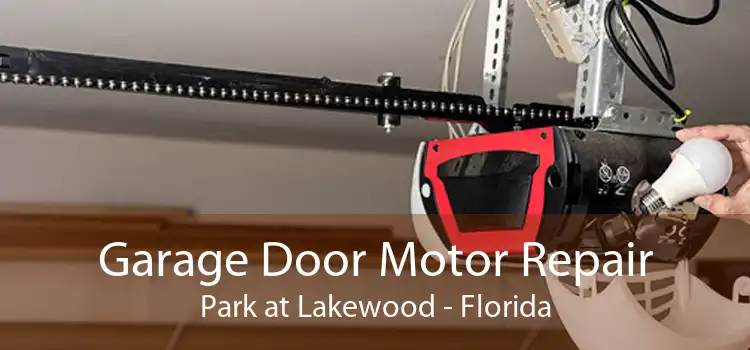 Garage Door Motor Repair Park at Lakewood - Florida