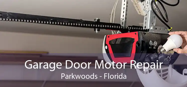 Garage Door Motor Repair Parkwoods - Florida